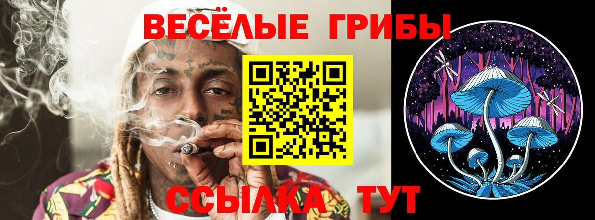 Псилоцибиновые грибы Magic Shrooms  Галлюциногенные грибы мухоморы  Верхний Уфалей  Вход с VPN 